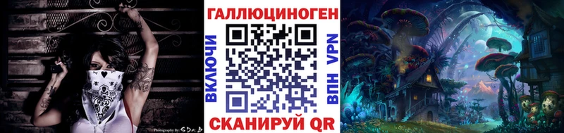Псилоцибиновые грибы Psilocybe  Хотьково 